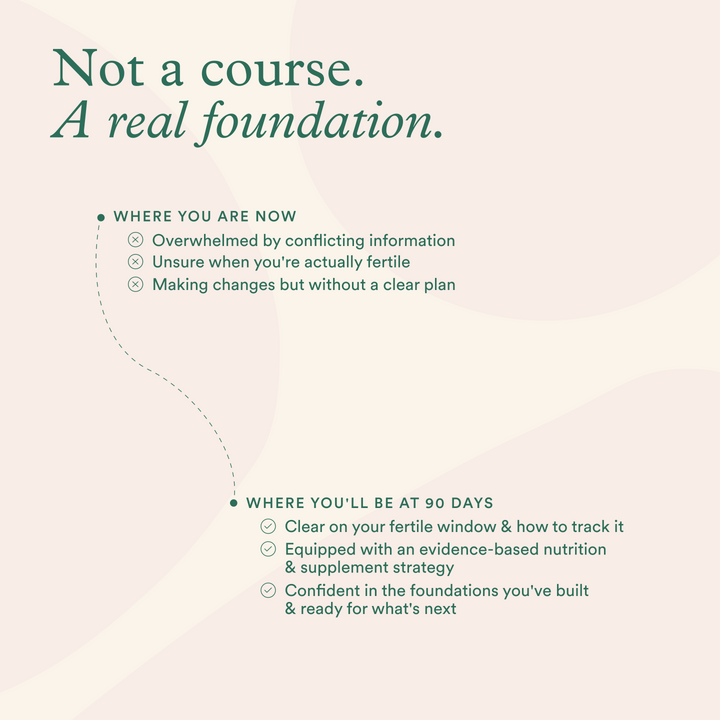 Fertility Foundations
