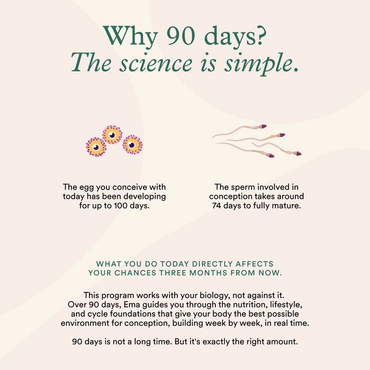 Journey to Motherhood