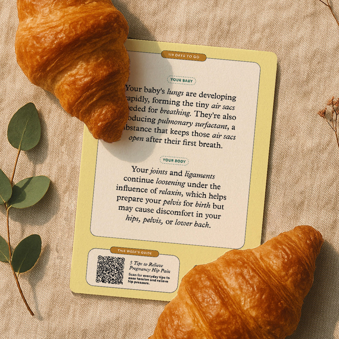 Pregnancy Guide & Milestone Card Set