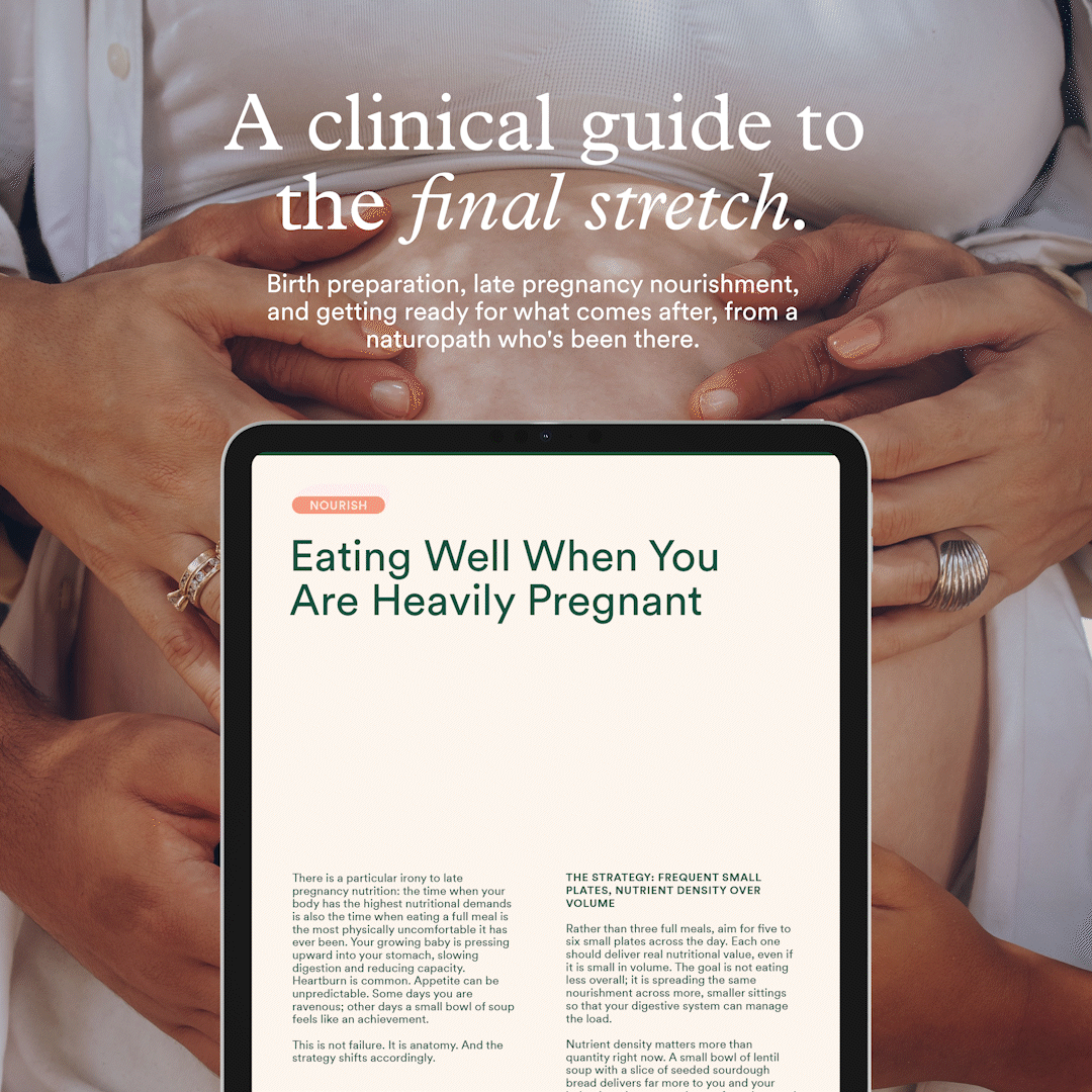 Third Trimester Companion