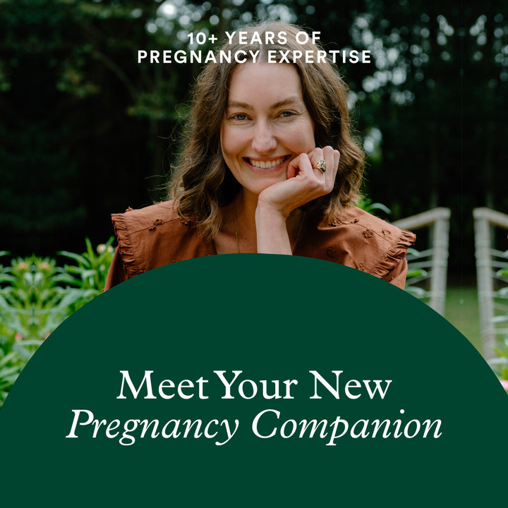 Pregnancy Guide & Milestone Card Set